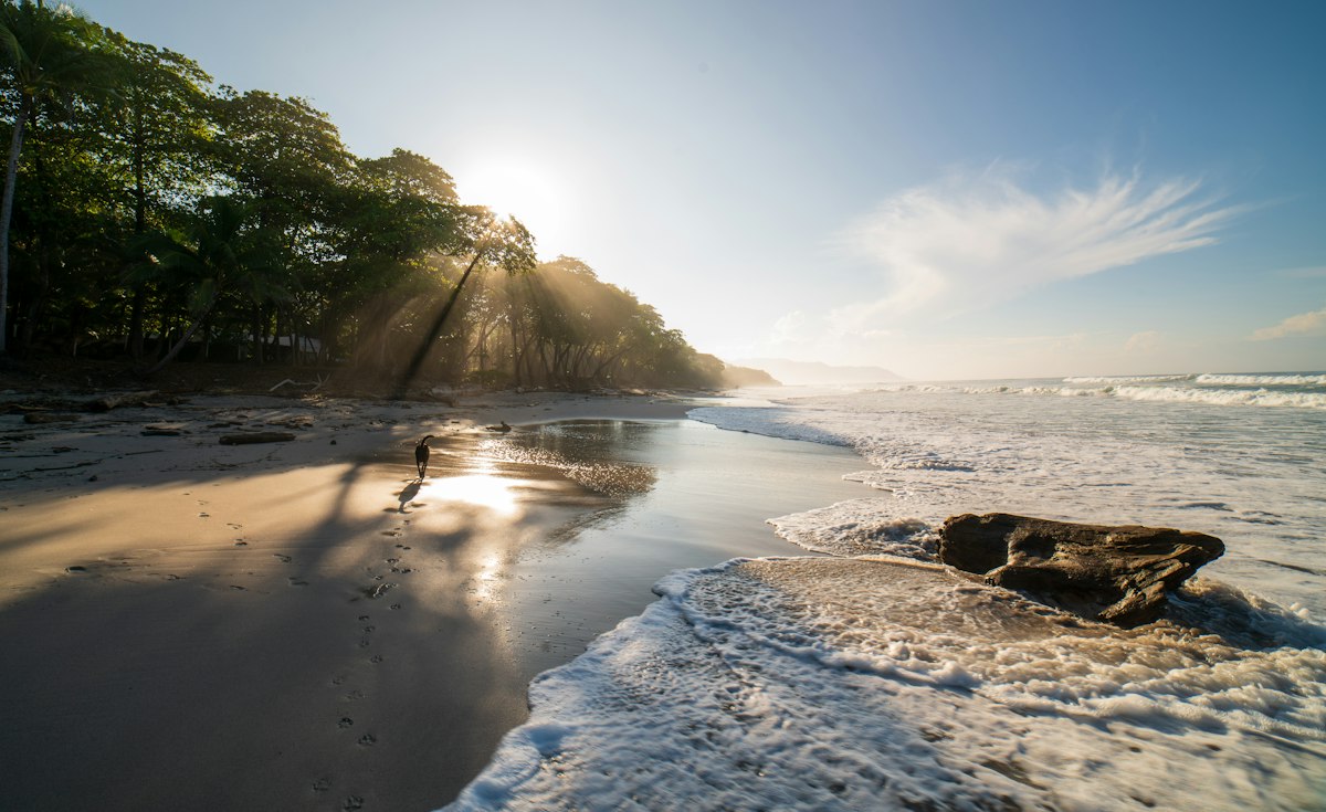 Tropical shoreline · illustrative photo