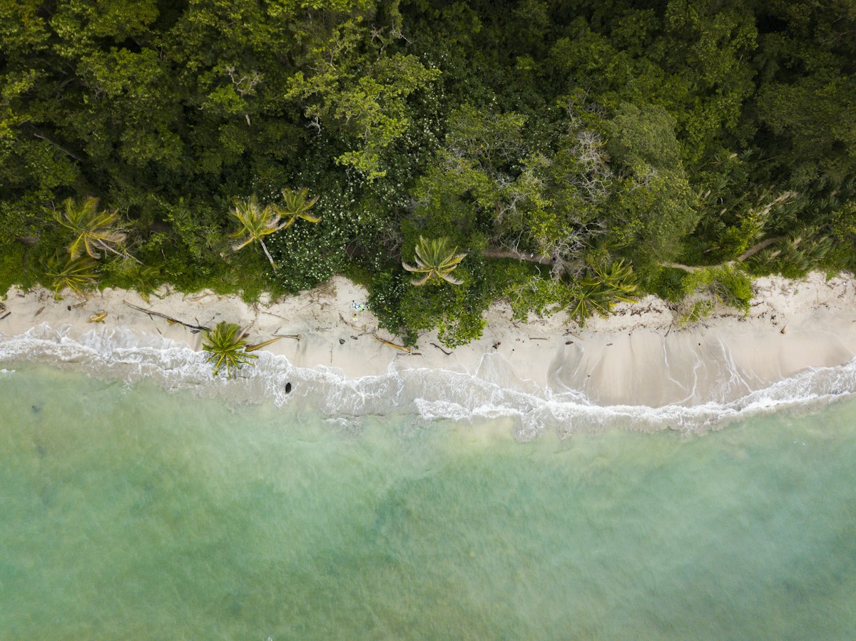 Palm-lined coast · illustrative photo