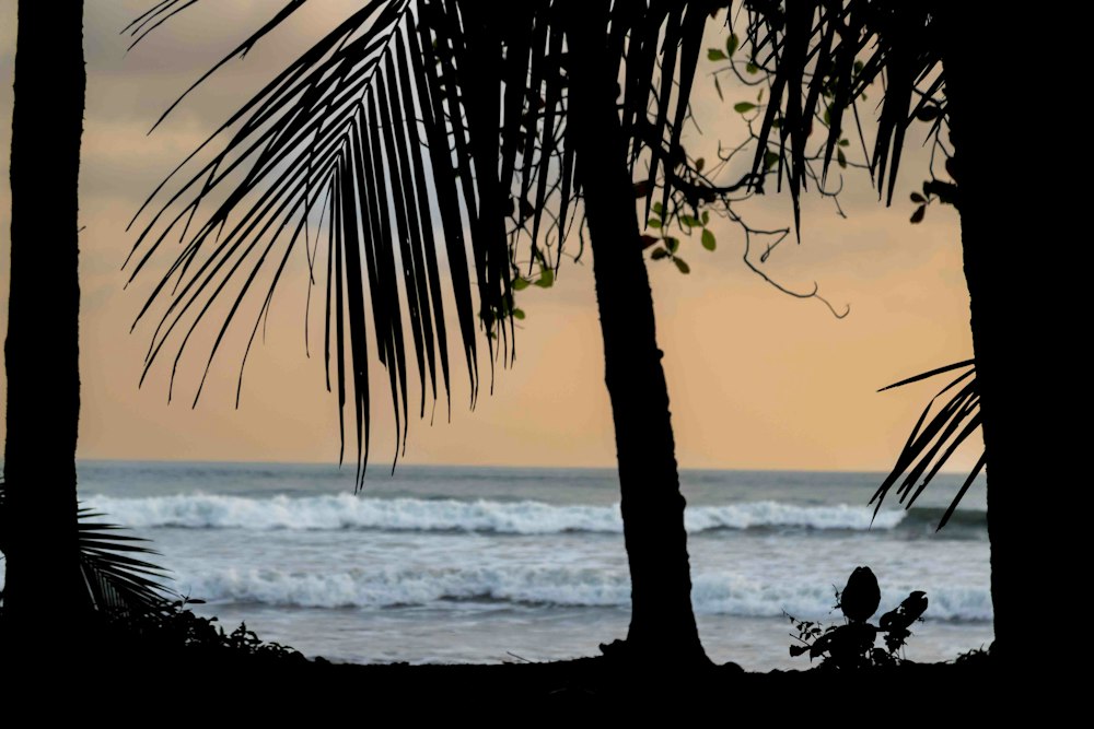 Pacific sunset · illustrative photo