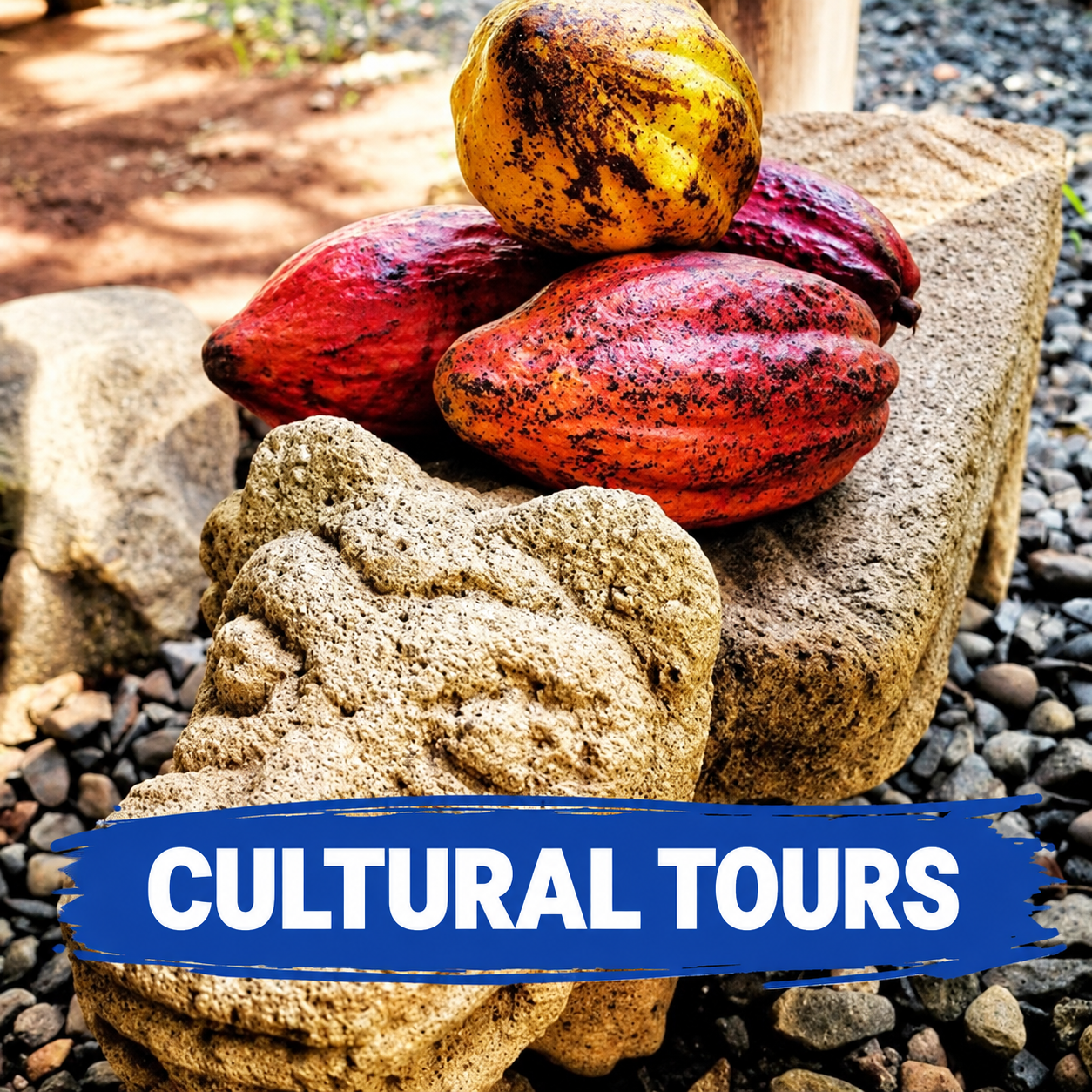 Cultural Tours